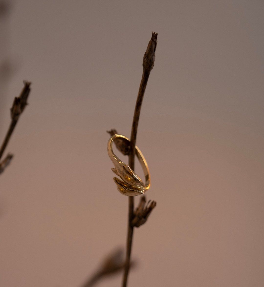 Leaf-motif yellow gold ring hanging on a dry twig against a plain backdrop